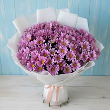 Букет цветов из:  Хризантемы в Шатуре