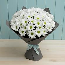 Букет цветов из:  Хризантемы #REPLACE_PRED# Шатуре