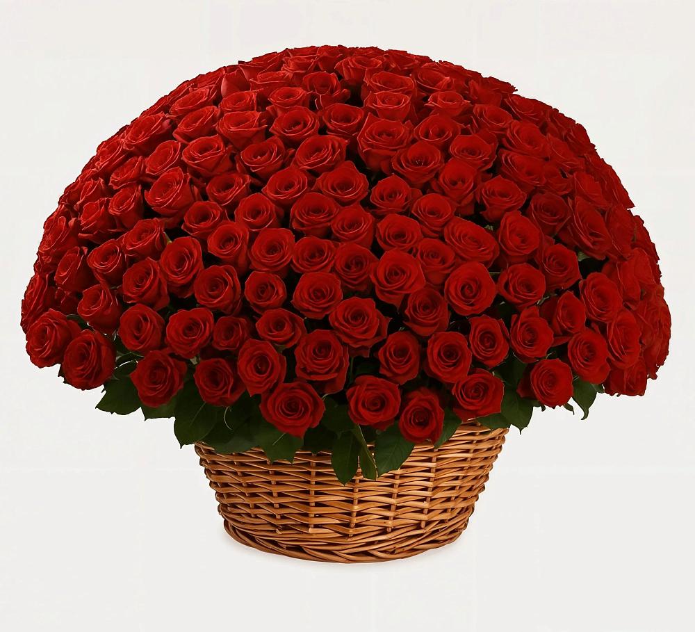 Премиум букет из: Розы в Шатуре