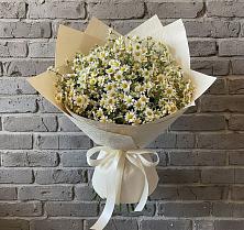 Букет цветов из:  Ромашки в Шатуре