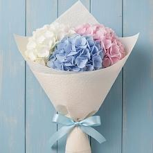 Букет цветов из:  Гортензия в Шатуре