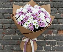 Букет цветов из:  Хризантемы в Шатуре