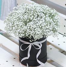 Цветочная композиция из Гипсофила в шляпной коробке #REPLACE_PRED# Шатуре