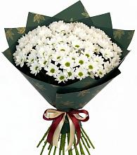 Букет цветов из:  Хризантемы #REPLACE_PRED# Шатуре