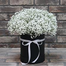 Цветочная композиция из Гипсофила в шляпной коробке #REPLACE_PRED# Шатуре