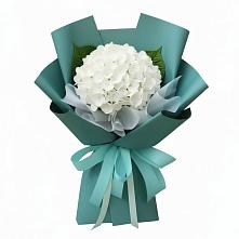 Букет цветов из:  Гортензия в Шатуре